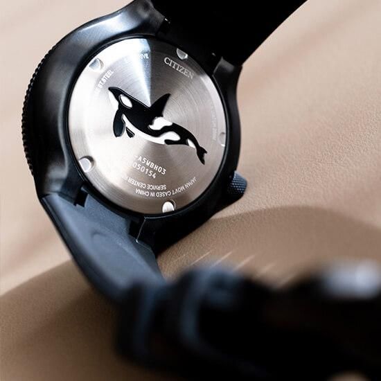BN0235-01E CITIZEN シチズン プロマスター MARINE
