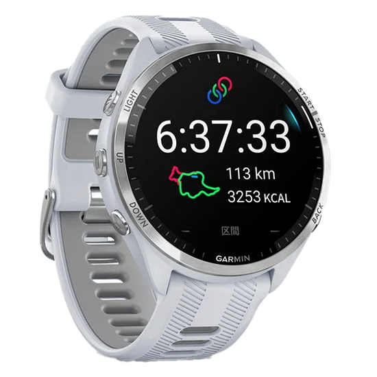 010-02809-61 GARMIN ガーミン フォアランナー 965