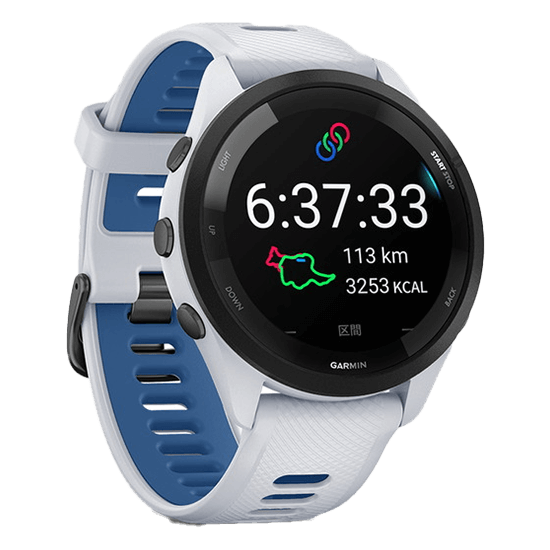 010-02810-41 GARMIN ガーミン フォアランナー 265