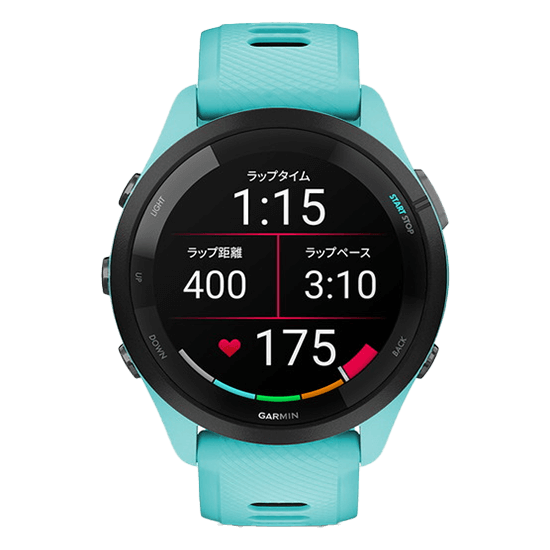 010-02810-42 GARMIN ガーミン フォアランナー 265