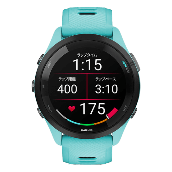  010-02810-42 GARMIN ߥ եʡ 265
