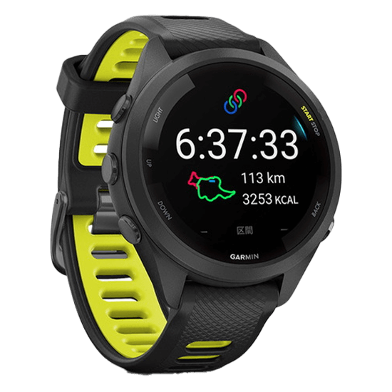 010-02810-43 GARMIN ߥ եʡ 265S
