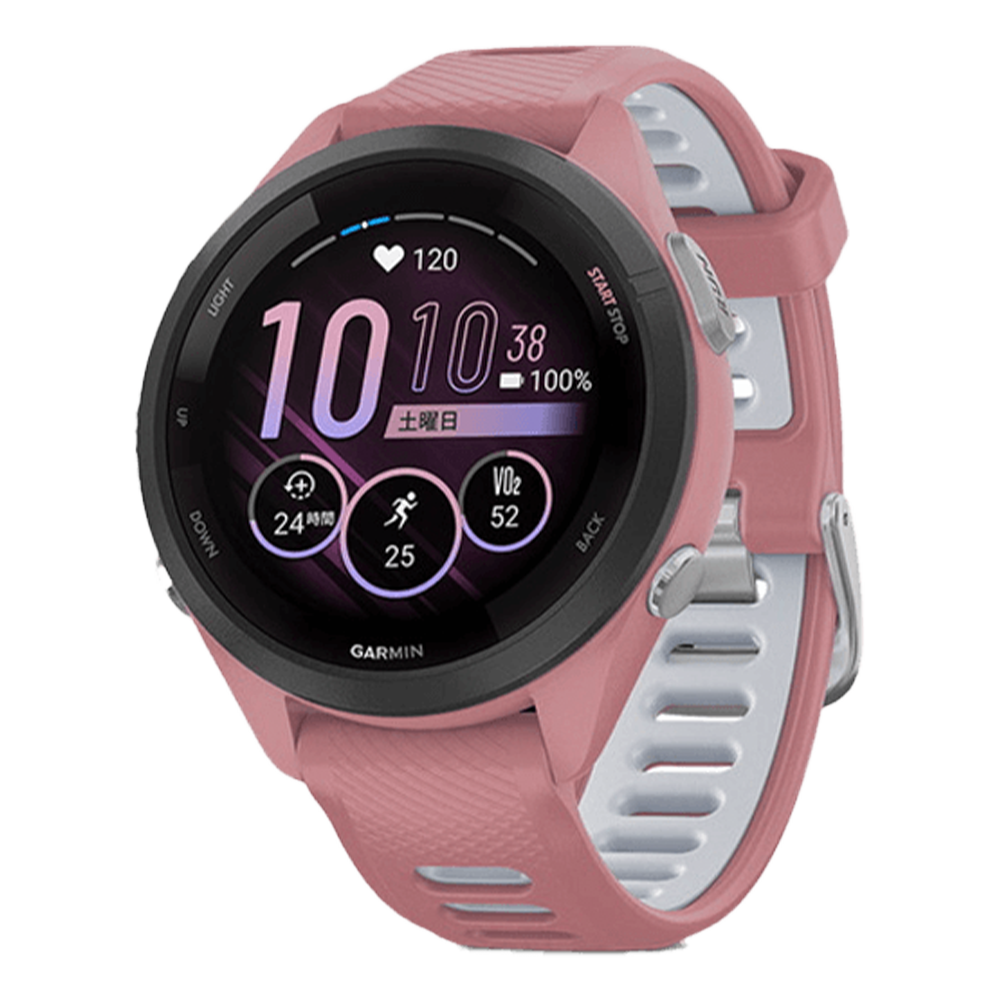 010-02810-45 GARMIN ガーミン フォアランナー 265S