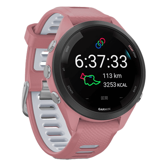 010-02810-45 GARMIN ガーミン フォアランナー 265S