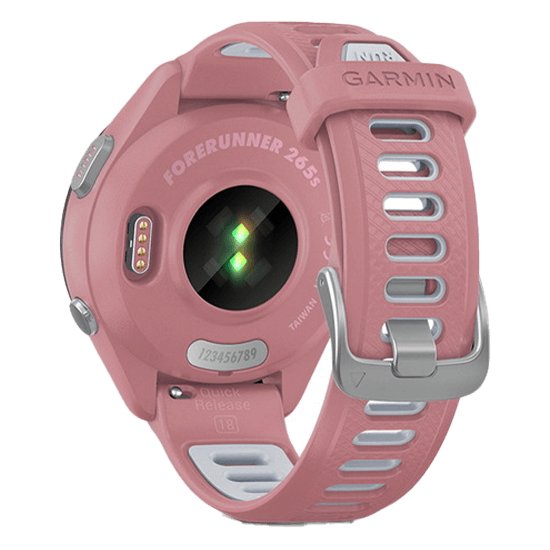 010-02810-45 GARMIN ガーミン フォアランナー 265S