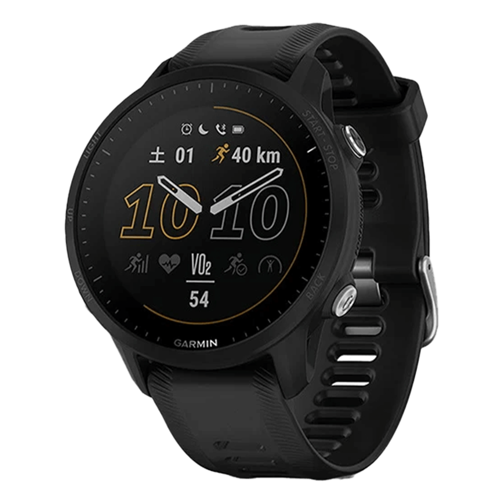 010-02638-E0 GARMIN ガーミン フォアランナー 955
