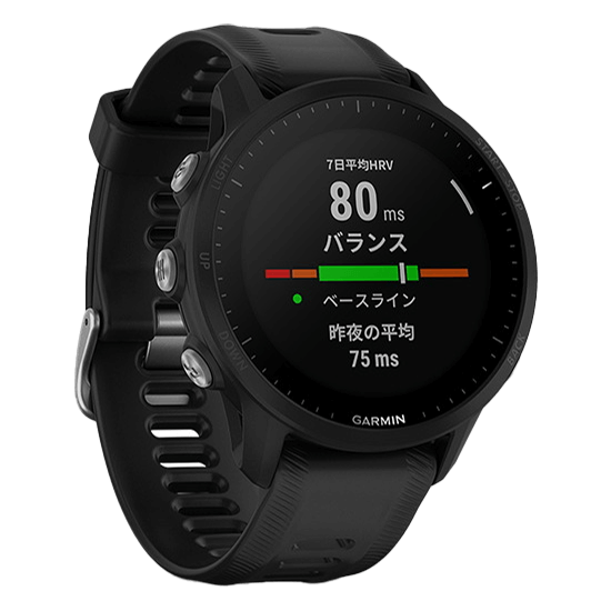 010-02638-E0 GARMIN ガーミン フォアランナー 955