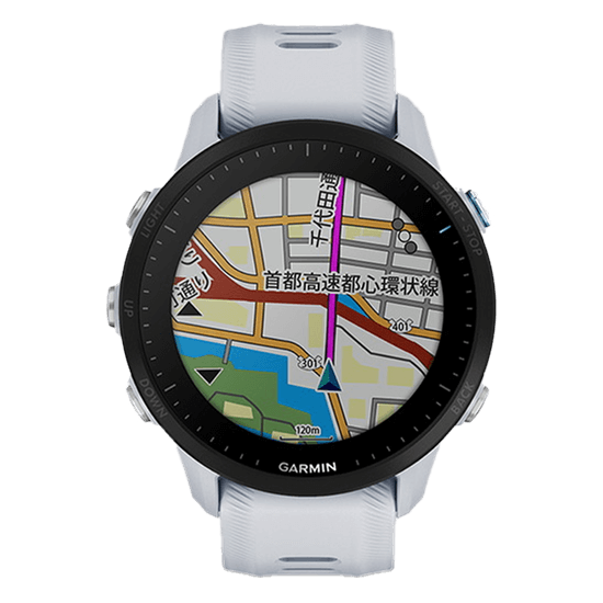 010-02638-E1 GARMIN ガーミン フォアランナー 955