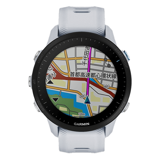 010-02638-E1 GARMIN ߥ եʡ 955
