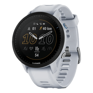 010-02638-E1 GARMIN ガーミン フォアランナー 955