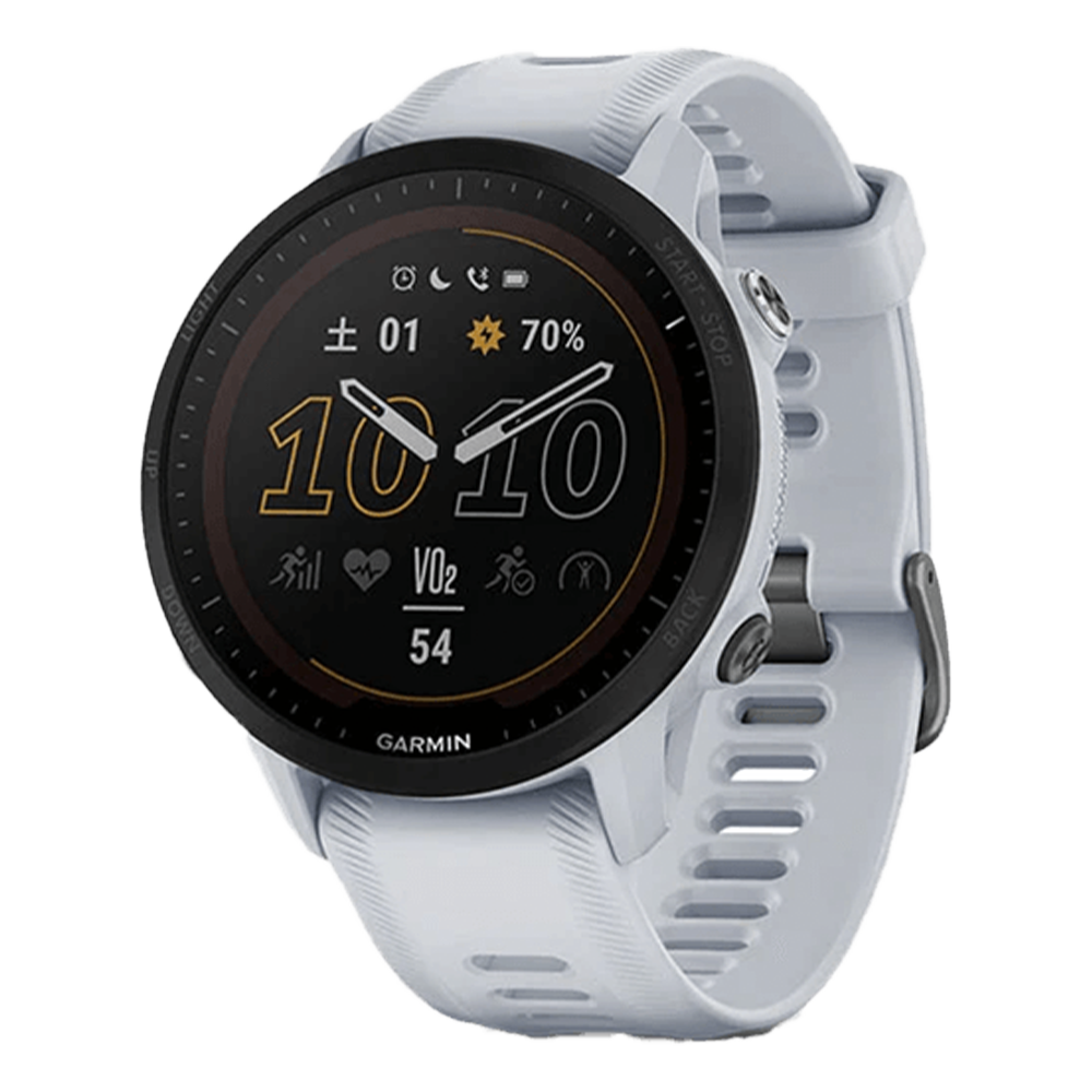 010-02638-D1 GARMIN ガーミン フォアランナー 955  デュアルパワー