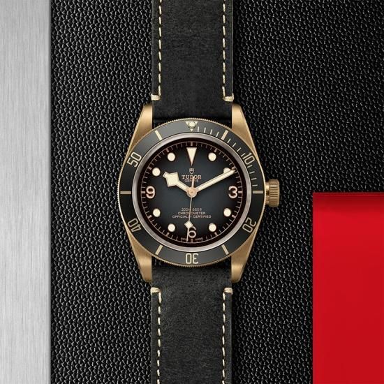 M79250BA-0001 TUDOR チューダー ブラックベイ ブロンズ