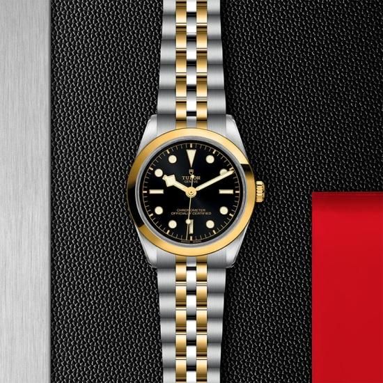 M79643-0001 TUDOR チューダー ブラックベイ ワン 36 S&G