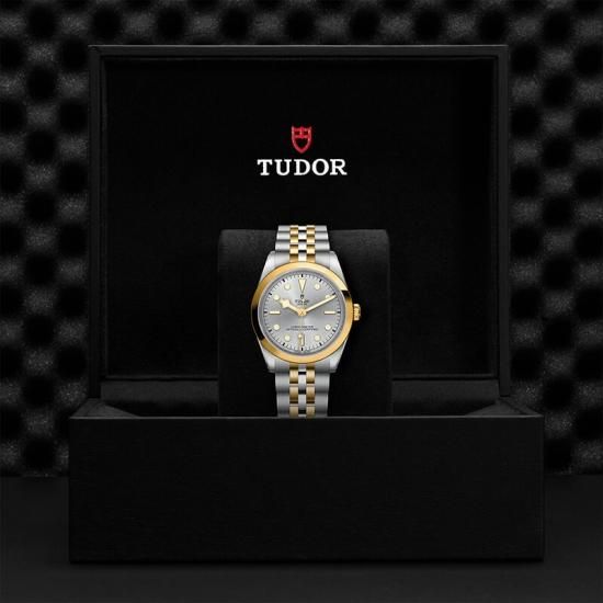 M79643-0002 TUDOR チューダー ブラックベイ ワン 36 S&G