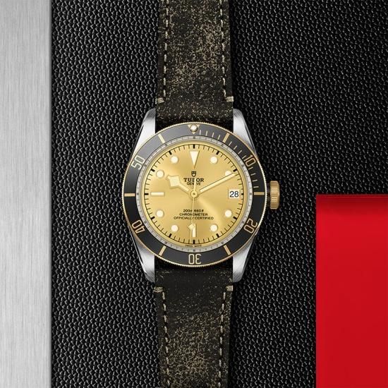 M79733N-0003 TUDOR チューダー ブラックベイ S&G