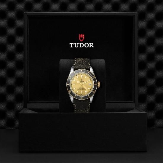M79733N-0003 TUDOR チューダー ブラックベイ S&G