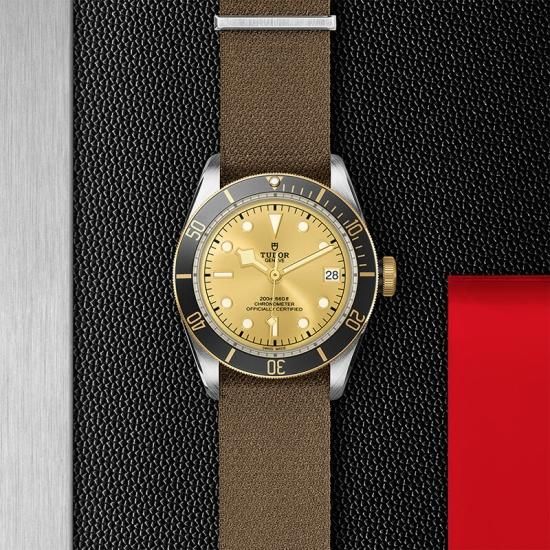 M79733N-0006 TUDOR チューダー ブラックベイ S&G