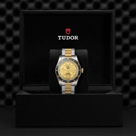 M79733N-0004 TUDOR チューダー ブラックベイ S&G