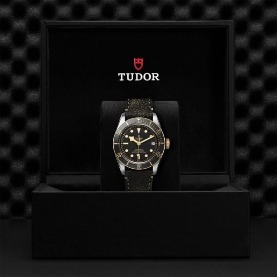M79733N-0007 TUDOR チューダー ブラックベイ S&G