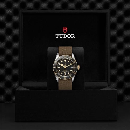 M79733N-0005 TUDOR チューダー ブラックベイ S&G