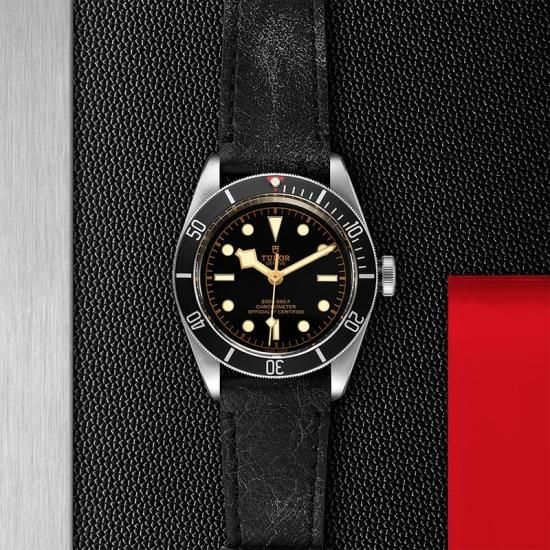 M79230N-0008 TUDOR チューダー ブラックベイ