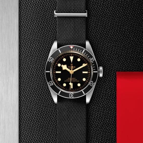  M79230N-0005 TUDOR チューダー ブラックベイ