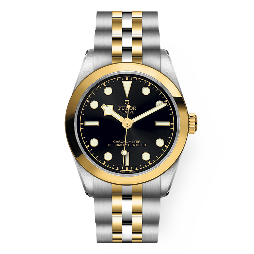M79603-0001 TUDOR チューダー ブラックベイ ワン 31 S&G