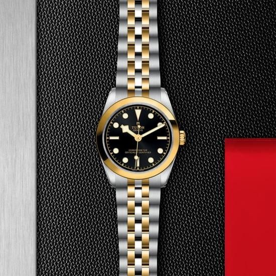 M79603-0001 TUDOR チューダー ブラックベイ ワン 31 S&G
