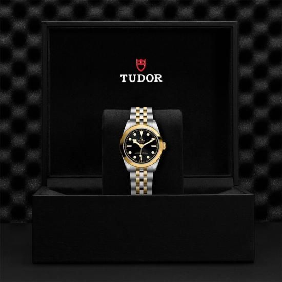 M79603-0001 TUDOR チューダー ブラックベイ ワン 31 S&G