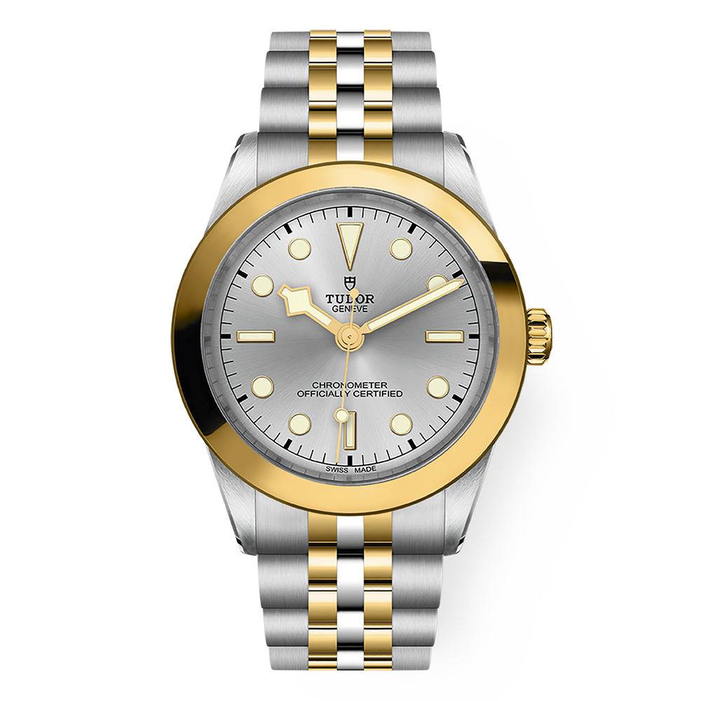 M79663-0002 TUDOR チューダー ブラックベイ ワン 39 S&G