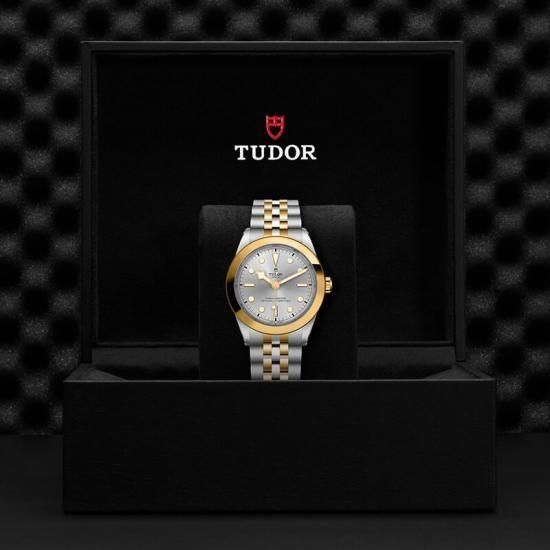 M79663-0002 TUDOR チューダー ブラックベイ ワン 39 S&G