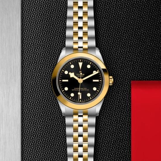 M79663-0001 TUDOR チューダー ブラックベイ ワン 39 S&G