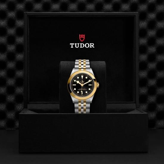 M79663-0001 TUDOR チューダー ブラックベイ ワン 39 S&G