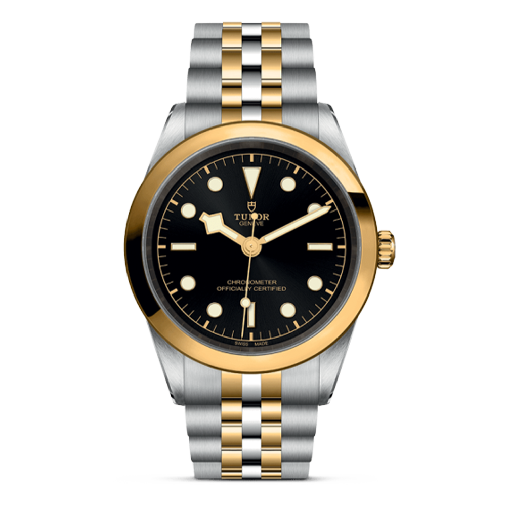 M79683-0001 TUDOR チューダー ブラックベイ ワン 41 S&G