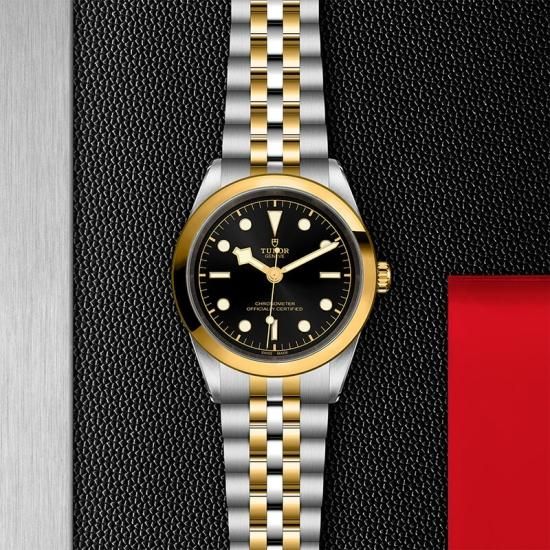 M79683-0001 TUDOR チューダー ブラックベイ ワン 41 S&G