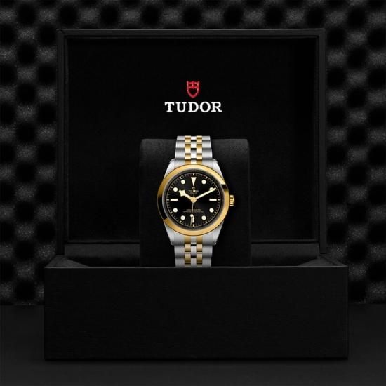 M79683-0001 TUDOR チューダー ブラックベイ ワン 41 S&G