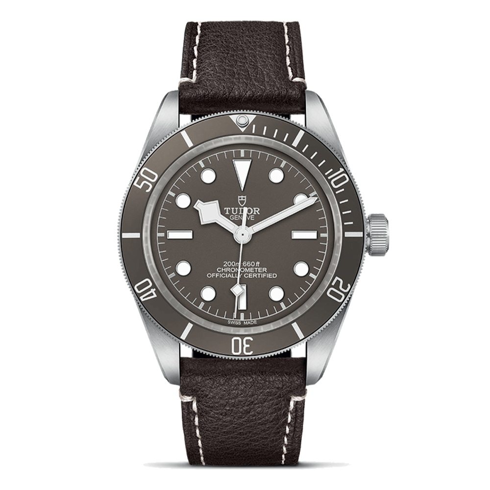 M79010SG-0001 TUDOR チューダー ブラックベイ 58 925 ｜ 高級