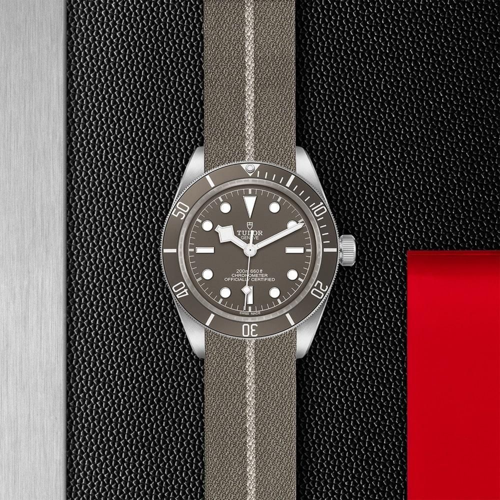 M79010SG-0002 TUDOR チューダー ブラックベイ 58 925