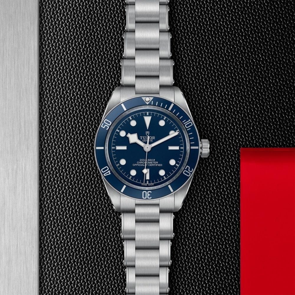 M79030B-0001 TUDOR チューダー ブラックベイ 58