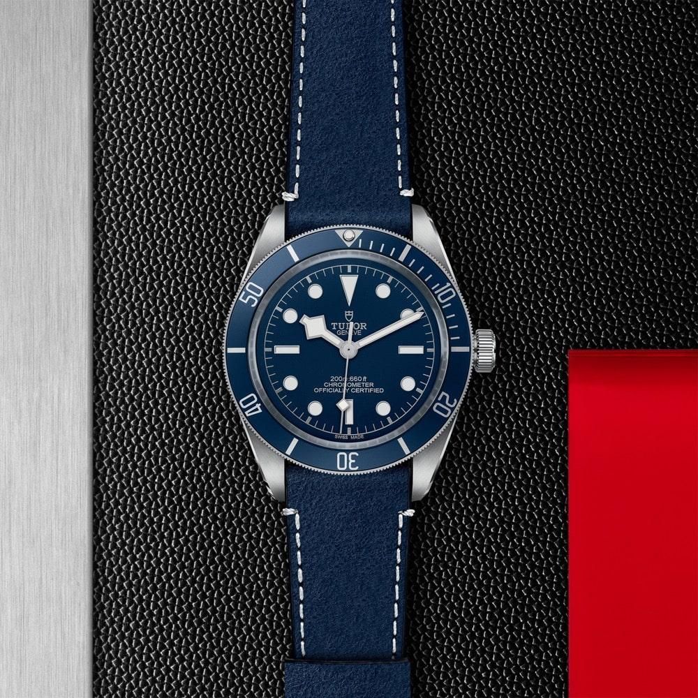 M79030B-0002 TUDOR チューダー ブラックベイ 58