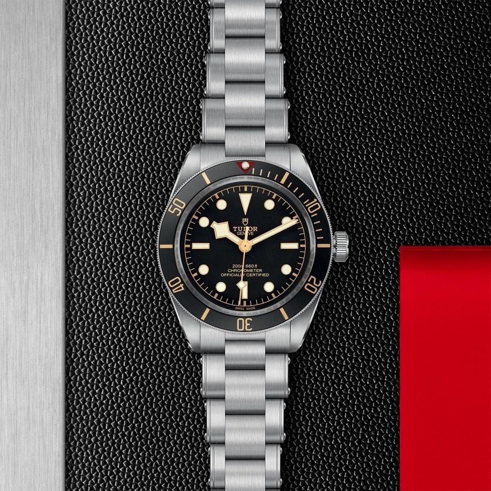 M79030N-0001 TUDOR チューダー ブラックベイ 58