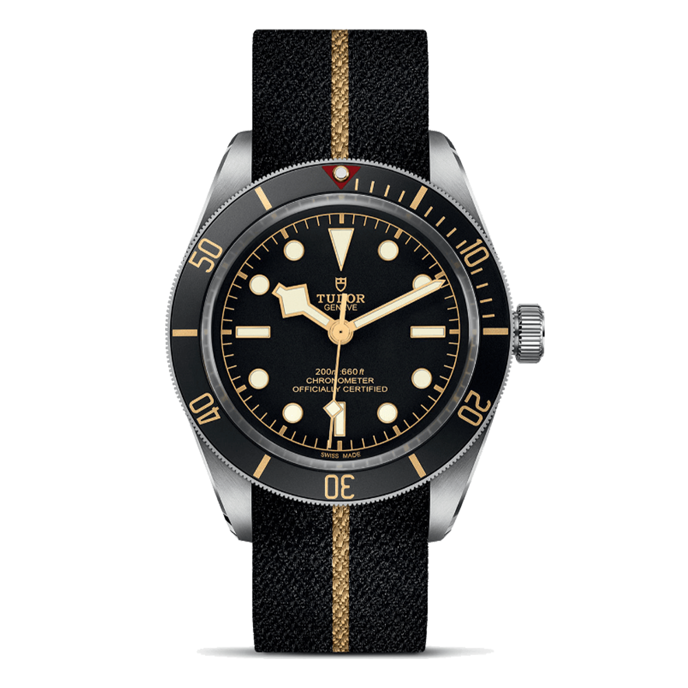 M79030N-0003 TUDOR チューダー ブラックベイ 58