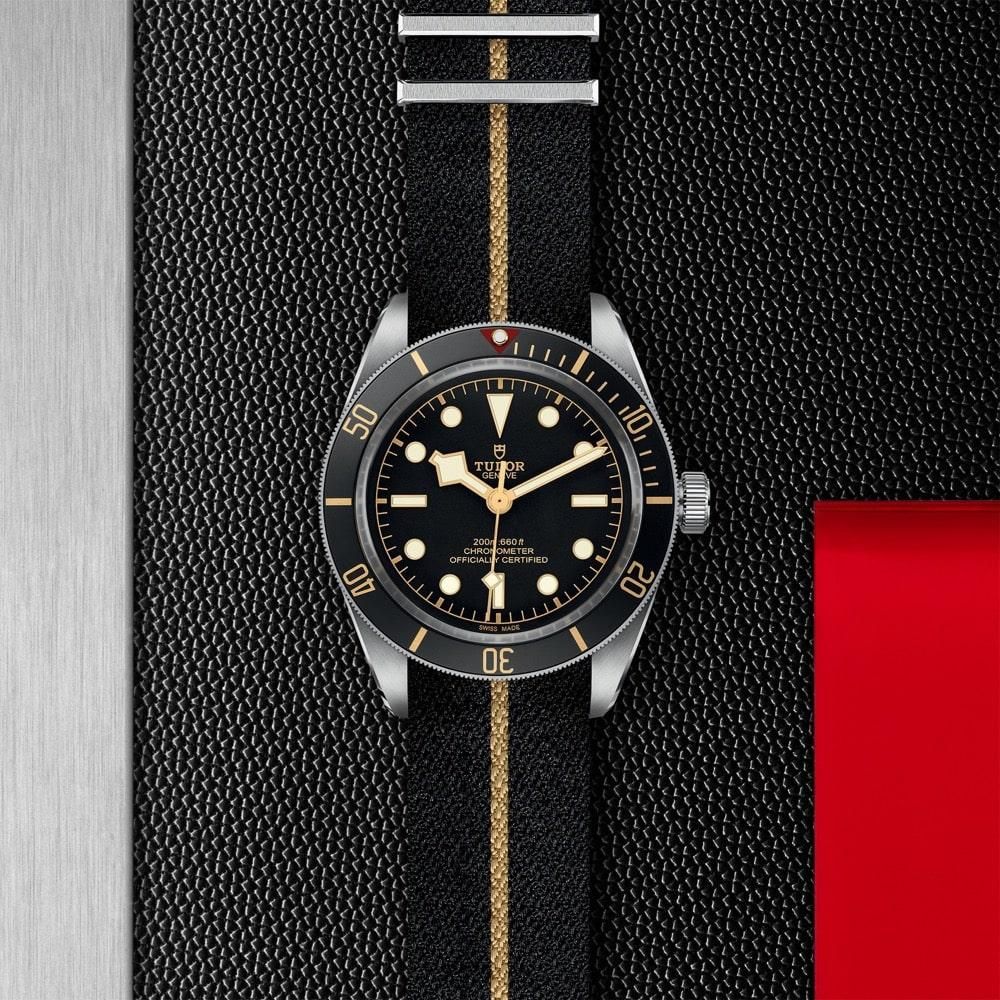 M79030N-0003 TUDOR チューダー ブラックベイ 58