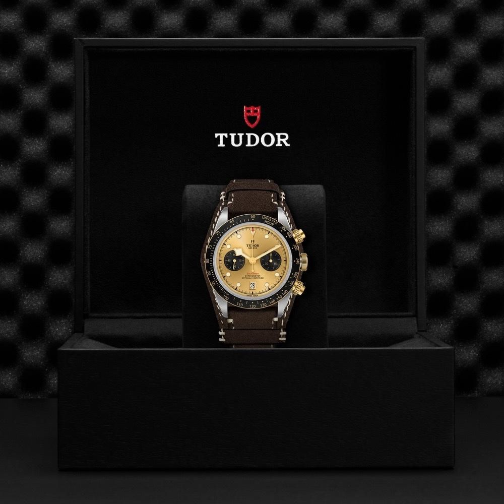 M79363N-0008 TUDOR チューダー ブラックベイ クロノ S&G