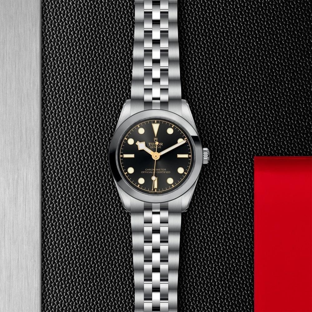 M79600-0001 TUDOR チューダー ブラックベイ ワン 31