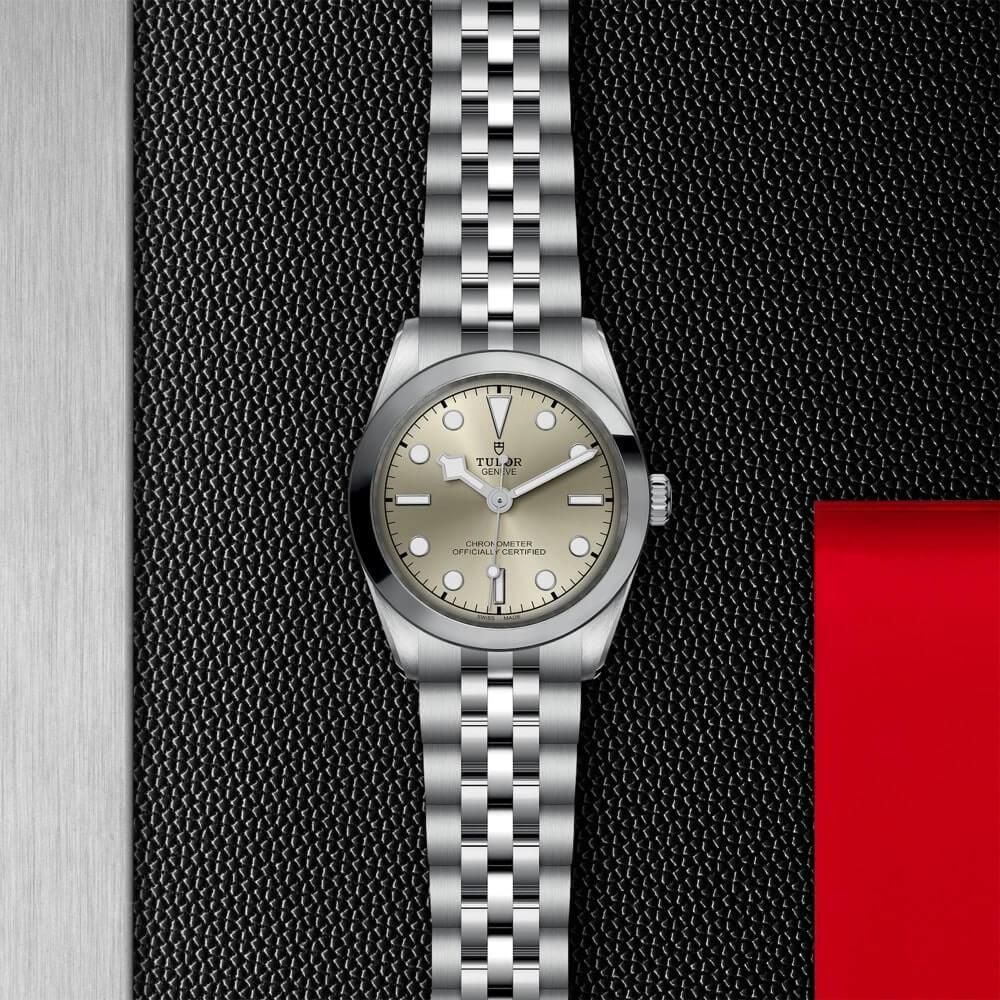 M79600-0003 TUDOR チューダー ブラックベイ ワン 31