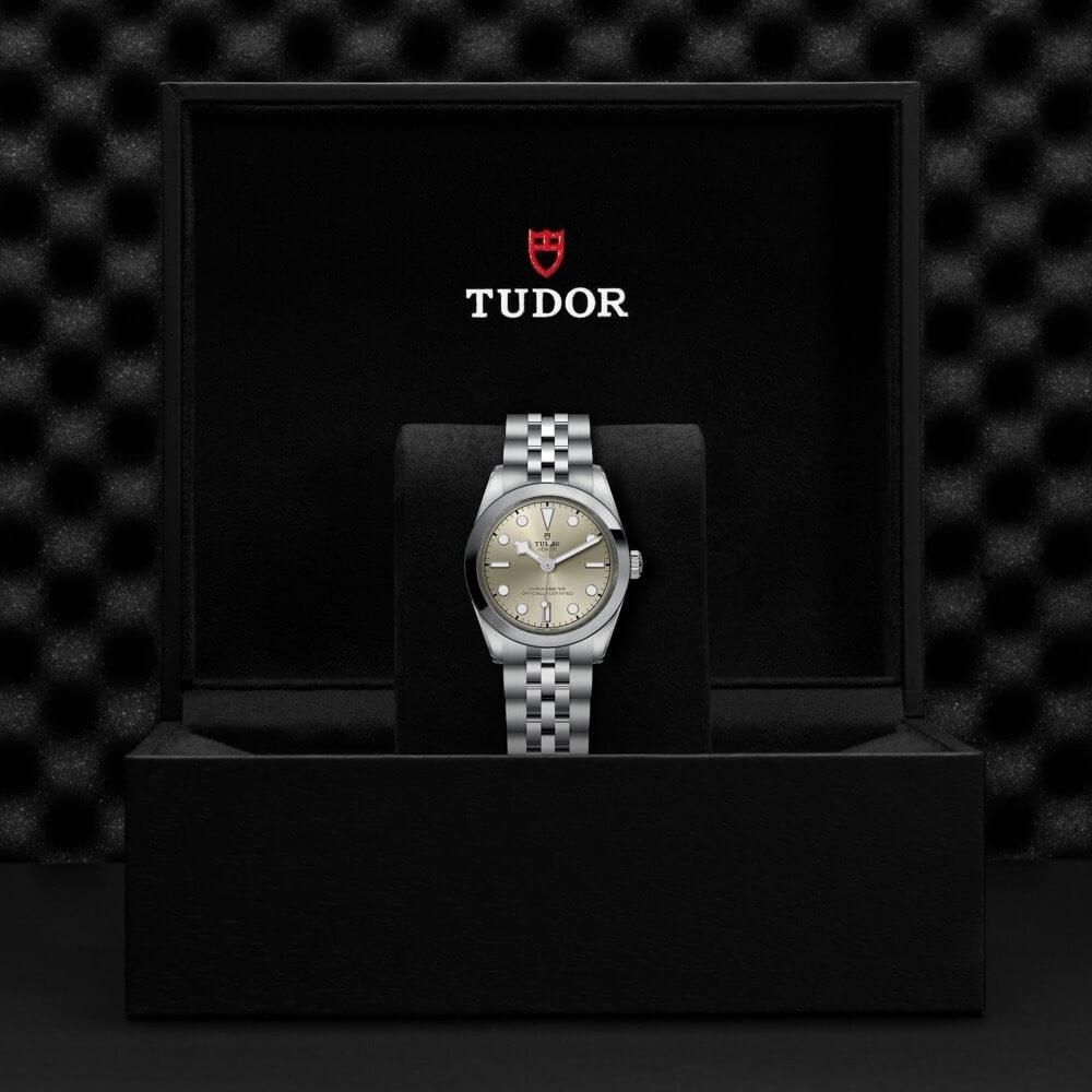 M79600-0003 TUDOR チューダー ブラックベイ ワン 31