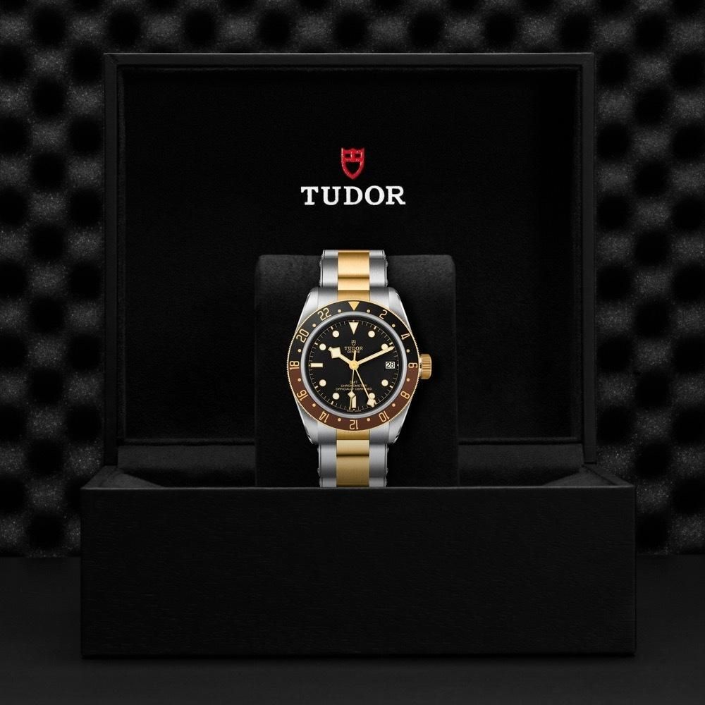 M79833MN-0001 TUDOR チューダー ブラックベイ GMT S&G