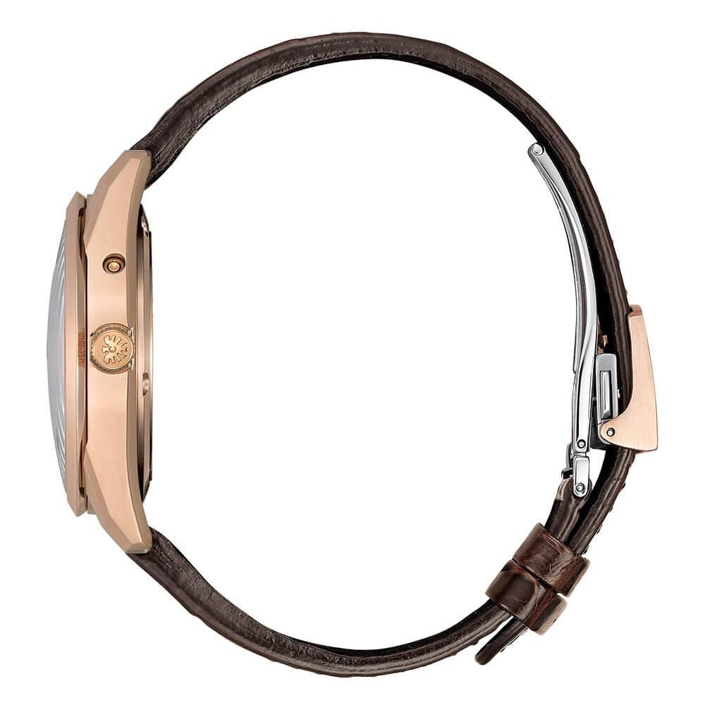  【世界限定300本】 AQ4106-00W The CITIZEN ザ・シチズン Iconic Nature Collection 「鳥」