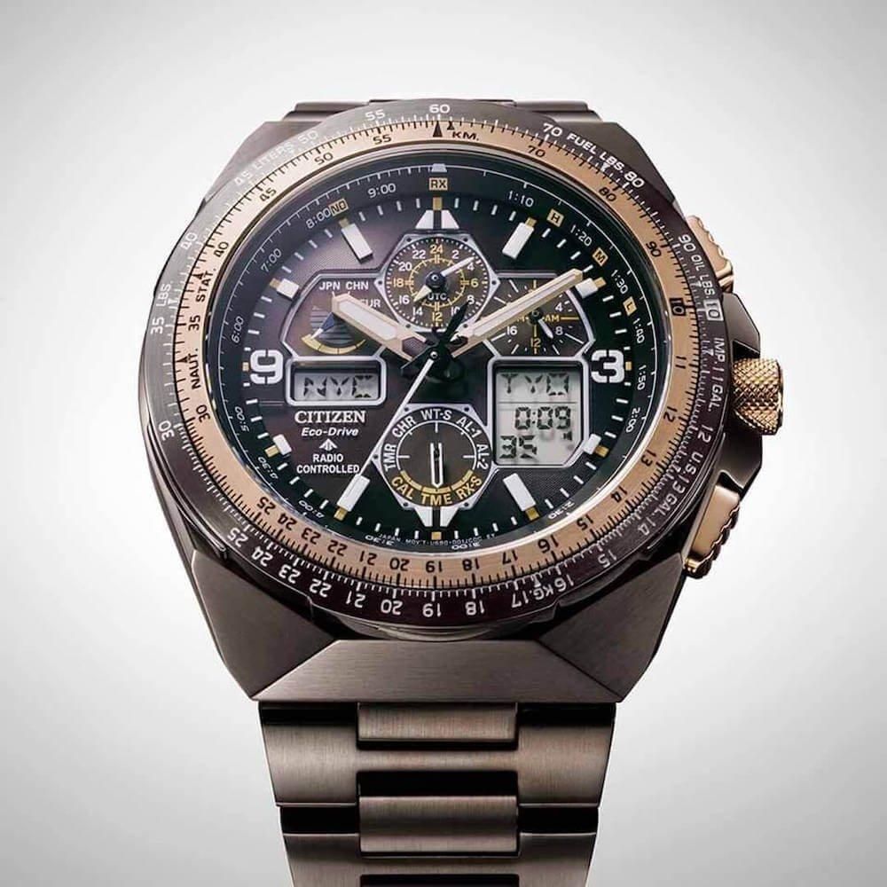  【世界限定5,600本】 JY8146-54E CITIZEN シチズン プロマスター SKY